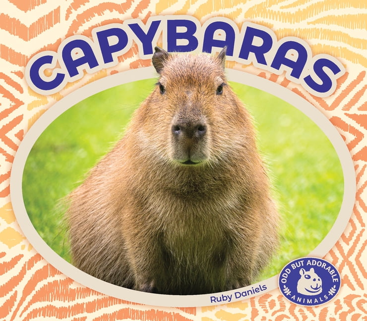 Odd But Adorable Animals Capybaras, (Hardcover)