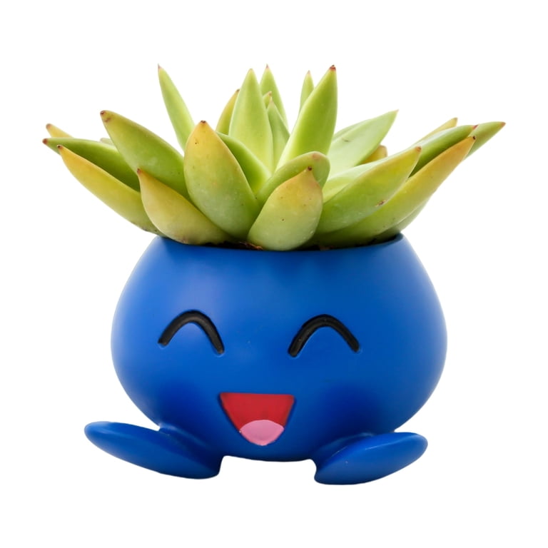 Oddish Pokemon Plant Pot 3.5'' Tall - Anime Succulent Planter For Office  Desk, Home Decor, Garden - Walmart.com