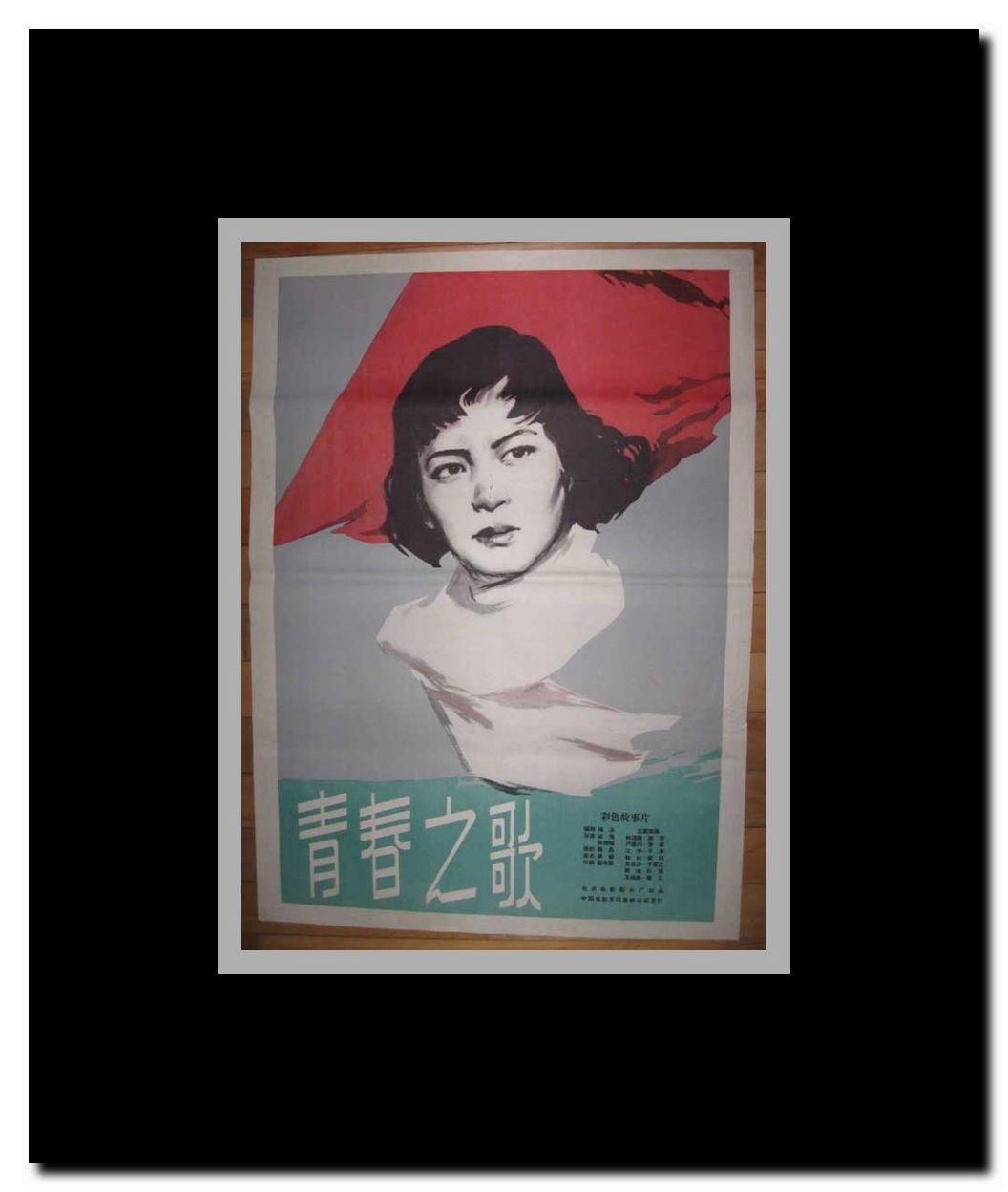 Ode to Youth Framed Movie Poster