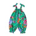thumbnail image 1 of Odeerbi 0-6Y Infant Boys Floral Jumpsuit Ruffle Elastic Waist Overall Pants Baby Summer Cotton Silk Romper Infant Children's Strap Pants Green, 1 of 5