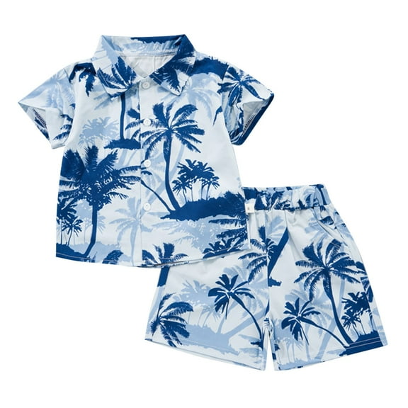 Odeerbi 1-8 Years Kids Boys Summer Hawaiian Outfits Cotton Beach Tropical Print Short Sleeve Shirt Shorts Set Graphic Casual Two-piece Set Kids Boys Clothes