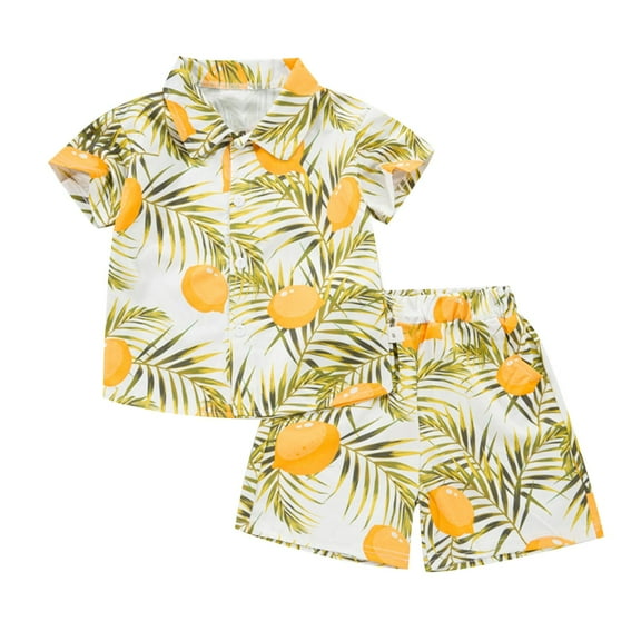 Odeerbi 1-8 Years Kids Boys Summer Hawaiian Outfits Cotton Beach Tropical Print Short Sleeve Shirt Shorts Set Graphic Casual Two-piece Set Kids Boys Clothes