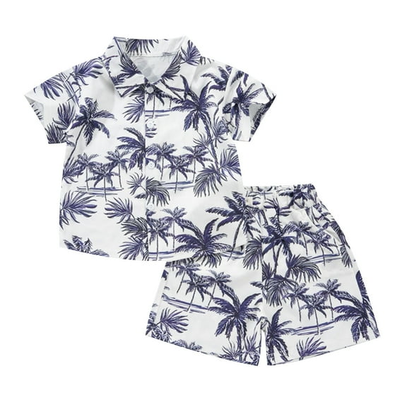 Odeerbi 1-8 Years Kids Boys Summer Hawaiian Outfits Cotton Beach Tropical Print Short Sleeve Shirt Shorts Set Graphic Casual Two-piece Set Kids Boys Clothes