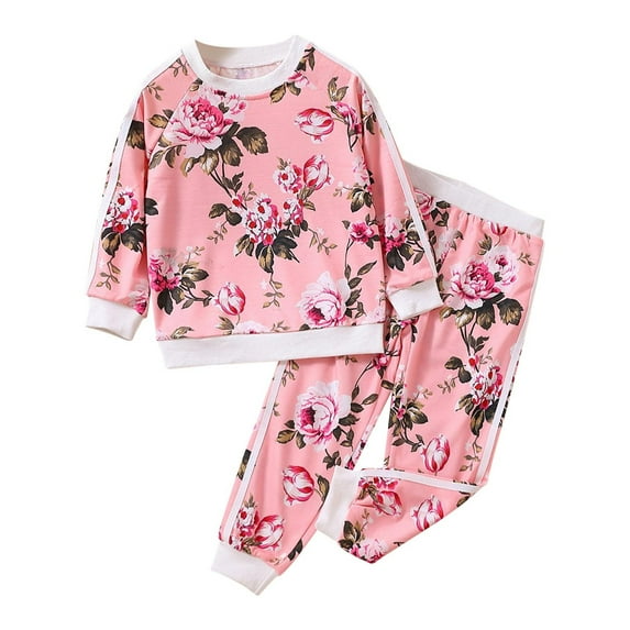 Odeerbi 18M-6Y Kids Girls Cotton Sweatsuits Outfits Floral Long Sleeve Sweatshirt Jogger Pants Two-piece Set Casual Loungewear Kids Girls Clothes
