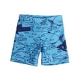 thumbnail image 1 of Odeerbi 2-13 Years Kids Boys Beach Swim Trunks Hawaiian Print Swimming Trunks Quick Drying Swimsuit Shorts Children's Summer Elastic Waisted Swimwear Pants, 1 of 2