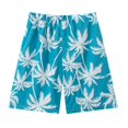 thumbnail image 1 of Odeerbi 2-15 Years Teen Boys Beach Swim Trunks Hawaiian Print Swimming Trunks Quick Drying Swimsuit Shorts Children's Summer Elastic Waisted Swimwear Pants, 1 of 5