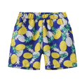 thumbnail image 1 of Odeerbi 2-16 Years Teen Boys Beach Swim Trunks Hawaiian Print Swimming Trunks Quick Drying Swimsuit Shorts Children's Summer Elastic Waisted Swimwear Pants, 1 of 7