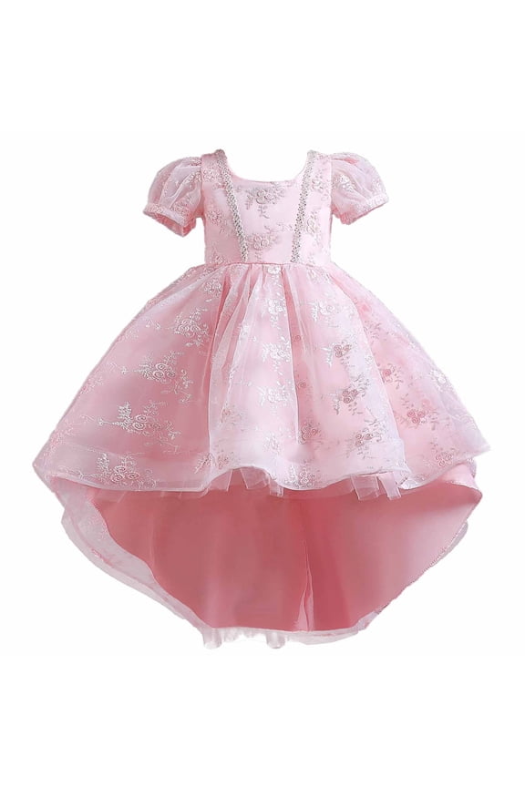 Girls Dresses Flower Girl Dress Children Baby Middle-aged Children's Embroidered Gauze Dress Princess Dress