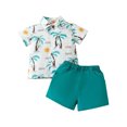 thumbnail image 1 of Odeerbi Infant Boys Girls 2 Piece Hawaiian Outfits Beach Tropical Print Shirts Short Sets Summer Clothes Child Casual Short Sleeve Tops Lapel Collar Botton Printed Shirt Sets Sky Blue, 1 of 2