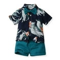 thumbnail image 1 of Odeerbi Infant Boys Girls 2 Piece Hawaiian Outfits Beach Tropical Print Shirts Short Sets Summer Clothes Leisure Comfort Bow Short Sleeve Top Solid Color Shorts Two Piece Set Blue, 1 of 2