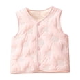thumbnail image 1 of Odeerbi Infant Boys Girls Quilted Puffer Vest Fall Winter Thermal Gilet Down Vest Children's Solid Color Round Neck Velvet Sleeveless Jacket Coat Infant Clothes Pink, 1 of 9
