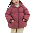 thumbnail image 1 of Odeerbi Infant Boys Girls Winter Coat Thermal Puffer Jacket Padded Coats Children's Solid Color Hooded Cotton Down Jacket with Pocket Infant Clothes Pink, 1 of 7
