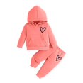 thumbnail image 1 of Odeerbi Infant Girls Fall Winter Outfits Cotton Sweatsuits Cute Tracksuit Fashion Casual Printed Long Sleeve Hoodies Sweatpants Set Infant Clothes Pink, 1 of 4