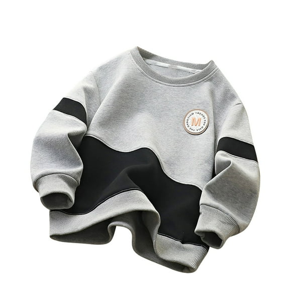 Odeerbi Kids Boys Crewneck Sweatshirts Color Block Pullover Sweatshirts Children Flower Embroidered Top Printed Round Neck Long Sleeve Pullover Gray