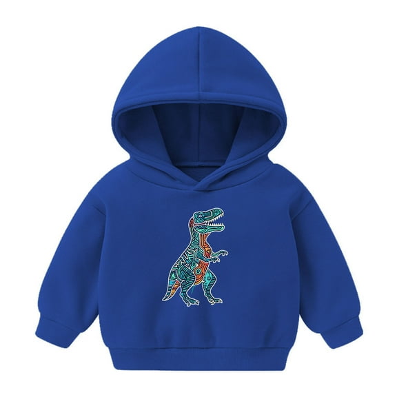 Odeerbi Kids Boys Girls Fleece Hoodies Dinosaur Pullover Hooded Sweatshirts Children's Pattern Printed Round Neck Long Sleeve Hooded Sweatshirt Blue