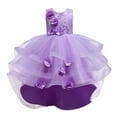 thumbnail image 1 of Odeerbi Kids Dress Toddler Girls Princess Dresses Tulle Dress Middle-aged Children's Sleeveless Embroidery Mesh Gauze Dress Purple, 1 of 9