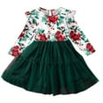 thumbnail image 1 of Odeerbi Kids Girls Ruffle Long Sleeve Christmas Dress Floral Tiered Tulle Dress Fall Winter New Round Neck Skirt Rose Print Dress Green, 1 of 6