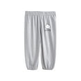 thumbnail image 1 of Odeerbi Kids Pants Toddler Boys Dinosaur Pants Cotton Linen Jogger Pants Baby Clothes Summer Casual Print Pants Strap Mosquito Proof Pants Gray - C, 1 of 4