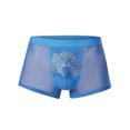 thumbnail image 1 of Odeerbi Mens Boxer Briefs 2025 Valentine's Day ice silk sexy print flat angle hollowed out underwear Blue, 1 of 4