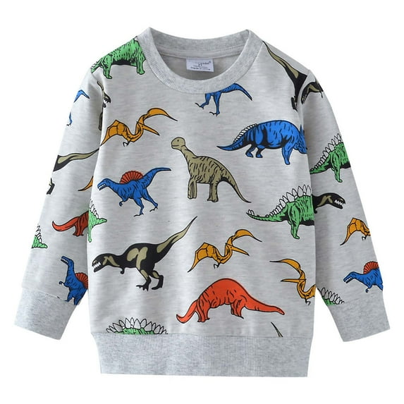 Odeerbi Toddler Boys Cotton Crewneck Sweatshirts Fall Winter Dinosaur Pullover Sweatshirt Children Long Sleeve Sweatshirt Top Toddler Clothes Gray
