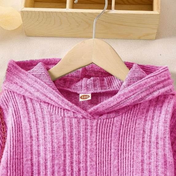 Odeerbi Toddler Boys Girls Cotton Sweatsuit Hooded Pullover Sweatshirt Top + Pants Set Cotton Loungewear Pink 4-5 Years