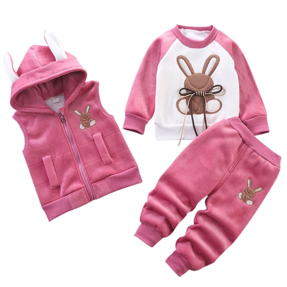 Odeerbi Toddler Boys Girls Fall Winter Outfits Double-Sided Fleece Sweatsuits Vest Set Cartoon Print Long Sleeve Sweatshirt Sweatpants Vest Suit Three-Piece Set Toddler Clothes Hot Pink