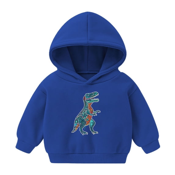 Odeerbi Toddler Boys Girls Fleece Hoodies Dinosaur Pullover Hooded Sweatshirts Children's Pattern Printed Round Neck Long Sleeve Hooded Sweatshirt Blue