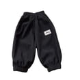 thumbnail image 1 of Odeerbi Toddler Boys Girls Fleece Jogger Pants Winter Thermal Workout Pants Kids Sports Pants Cotton Velvet Long Pants Versatile Loose Drawstring Pants Toddler Clothes Black, 1 of 1