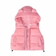 thumbnail image 1 of Odeerbi Toddler Boys Girls Puffer Vest Fall Winter Thermal Gilet Down Vest with Pocket Children's Solid Color Thick Sleeveless Hooded Jacket Coat Toddler Clothes Pink, 1 of 4