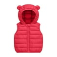 thumbnail image 1 of Odeerbi Toddler Boys Girls Quilted Padded Vest Toddler Kids Baby Clothes 2025 Fashion Cute Solid Color Windproof Padded Jacket Hooded Coat Hot Pink 18-24 Months, 1 of 5