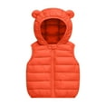 thumbnail image 1 of Odeerbi Toddler Boys Girls Quilted Padded Vest Toddler Kids Baby Clothes 2025 Fashion Cute Solid Color Windproof Padded Jacket Hooded Coat Orange 3-4 Years, 1 of 5