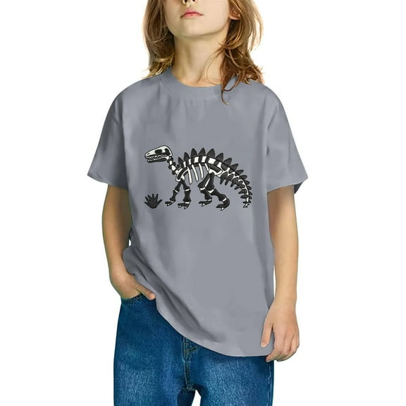 Odeerbi Kids Boys Girls T-shirt Dinosaur Print Short Sleeve Cotton Tee Tops Kids Fashion Cute Round Neck Cartoon Print Tees Gray