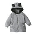 thumbnail image 1 of Odeerbi Toddler Boys Girls Winter Fleece Lined Jacket Toddler Kids Baby 2025 Fashion Cute Solid Color Keep Warm Zipper Bear Ear Hooded Jacket Coat Gray 3-4 Years, 1 of 9