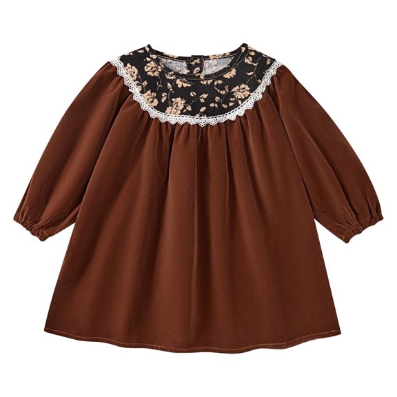 Odeerbi Toddler Girls Cute Lace Floral Velvet Princess Dress 2-8 Years Children's Round Neck Long Sleeve Cotton Dress Toddler Girls Clothes