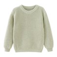 thumbnail image 1 of Odeerbi Toddler Girls Sweater Cute Winter Thermal Knit Crewneck Sweater Toddler Kids Baby Fashion Cute Solid Color Long Sleeve Warm Round Neck Sweater Toddler Clothes Green, 1 of 8