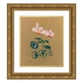 thumbnail image 1 of Odilon Redon 12x14 Gold Ornate Wood Frame and Double Matted Museum Art Print Titled - Cyclamen, 1 of 4