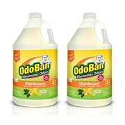 OdoBan Disinfectant Concentrate and Odor Eliminator, 2 Gallons, Citrus Scent