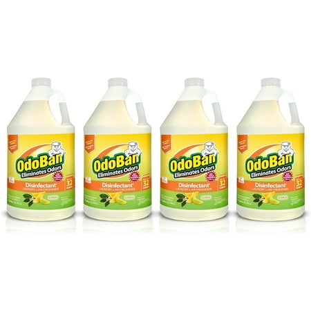 OdoBan Disinfectant Concentrate and Odor Eliminator, 4 Gallons, Citrus Scent