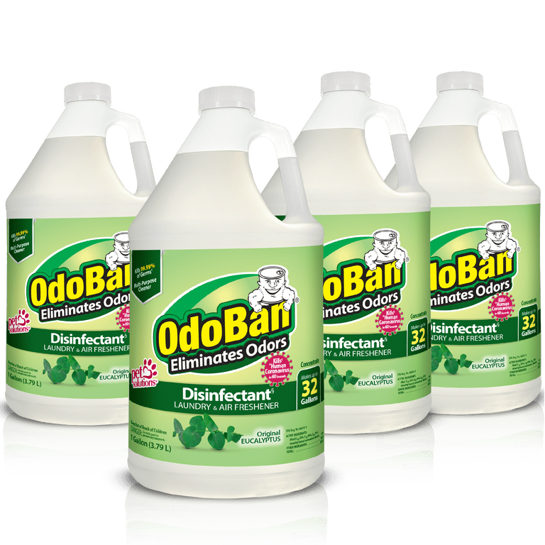 Odoban Disinfectant Concentrate and Odor Eliminator, 4 Gallons, Original Eucalyptus Scent