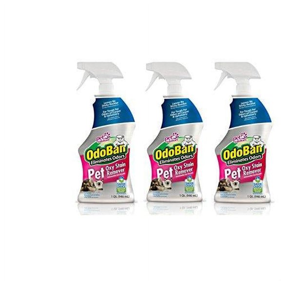 OdoBan Pet Solutions 32oz Spray Bottle Oxy Stain Remover, 3-Pack 3 Pack