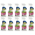 thumbnail image 1 of OdoBan Pet Solutions Oxy Stain Remover, Pet Stain Eliminator, 10-Pack, 32 Ounce Spray Each, 1 of 6