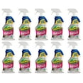 OdoBan Pet Solutions Oxy Stain Remover, Pet Stain Eliminator, 10Pack