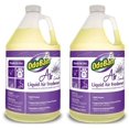 OdoBan Professional Cleaning ReadytoUse Liquid Air Freshener