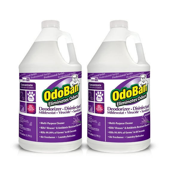 OdoBan Professional Disinfectant and Odor Eliminator Concentrate, 2-Pack, 1 Gallon Each, Lavender Scent