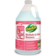 OdoBan Professional Ready-to-Use Biostain & Odor Remover, 1 Gallon