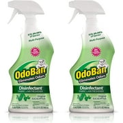 OdoBan Ready-to-Use Disinfectant and Odor Eliminator, Set of 2 Spray Bottles, 32 Ounces Each, Original Eucalyptus Scent
