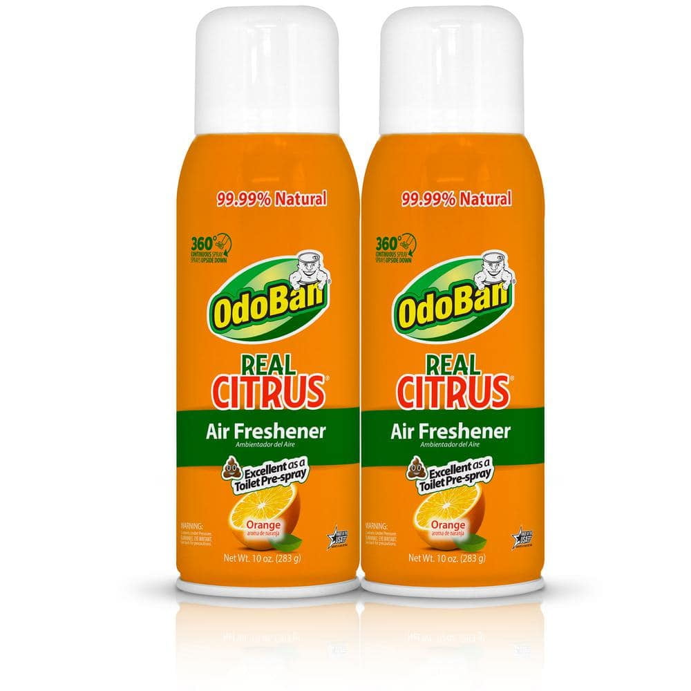 OdoBan Real Citrus Air Freshener, Orange (10oz., 2pk.)