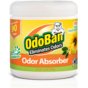 OdoBan Solid Odor Absorber Eliminator for Home and Small Spaces, Citrus Scent, 14 Ounces