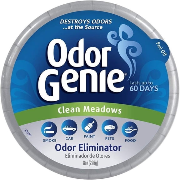 Odor Eliminator Solid Air Freshener - 1 Each