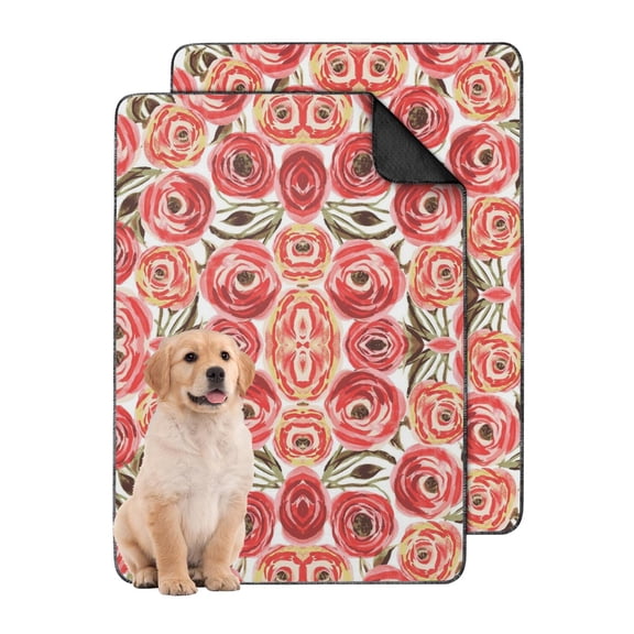 Odor Resistant Washable Puppy Pads 24x35 Inch, 2-Pack Training Mats with Advanced Moisture Locking